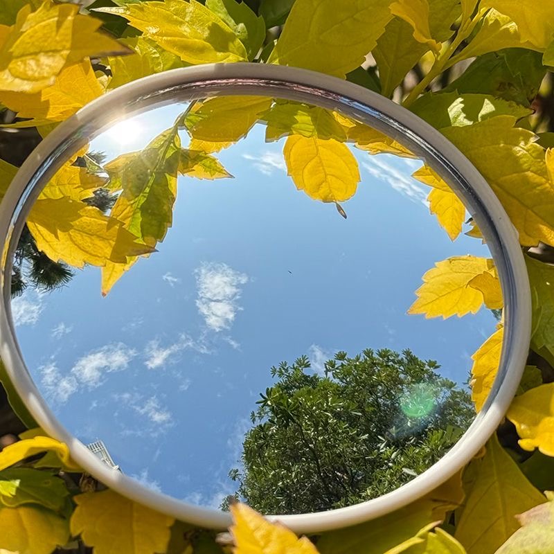 1/2pc Round Convex Mirror, Por - Photography Is reseña y precio