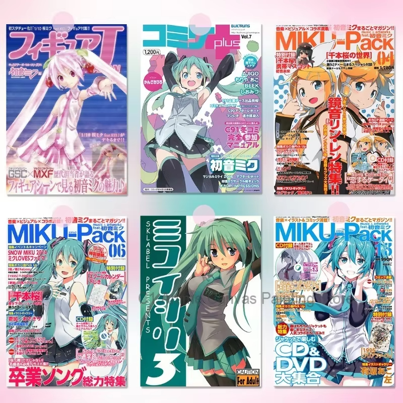 1pc frameless Hatsune Miku Ani - Photography Anime reseña y precio