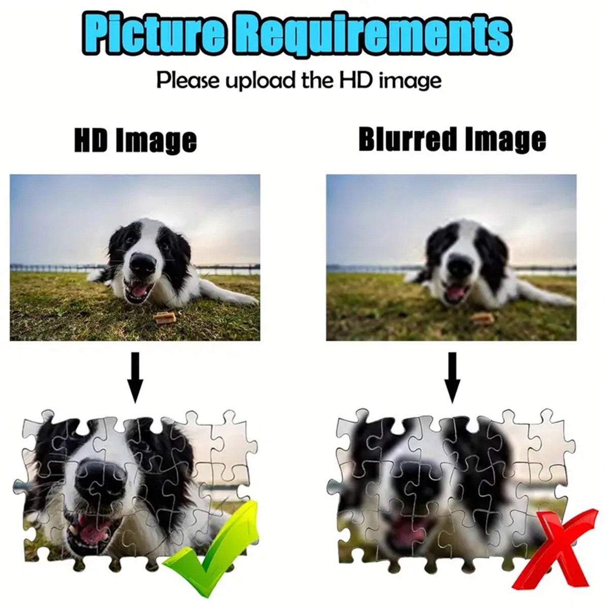 35/300/500/1000pcs Personalize - Photography Is reseña y precio